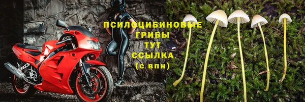 а пвп мука Бородино