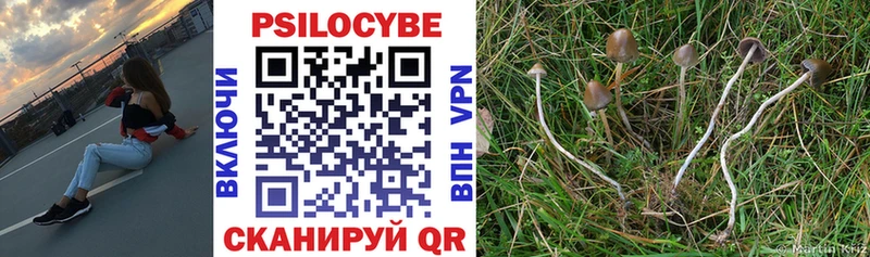 Псилоцибиновые грибы мухоморы Бронницы